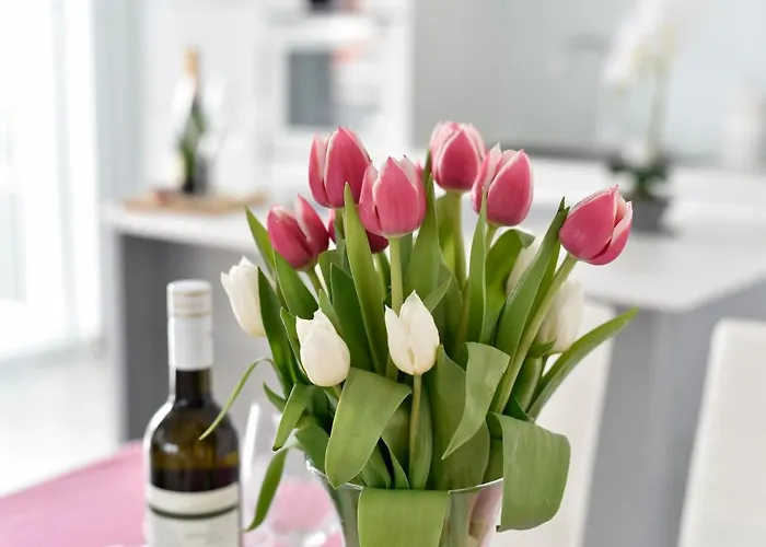 Deluxe Korina&ramona 4* Zadar