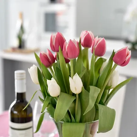 Deluxe Korina & Ramona 4* Ζαντάρ