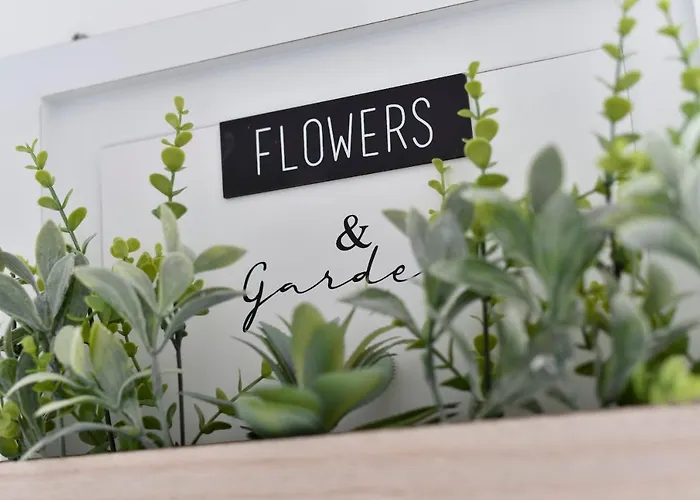 Deluxe Korina & Ramona Zadar